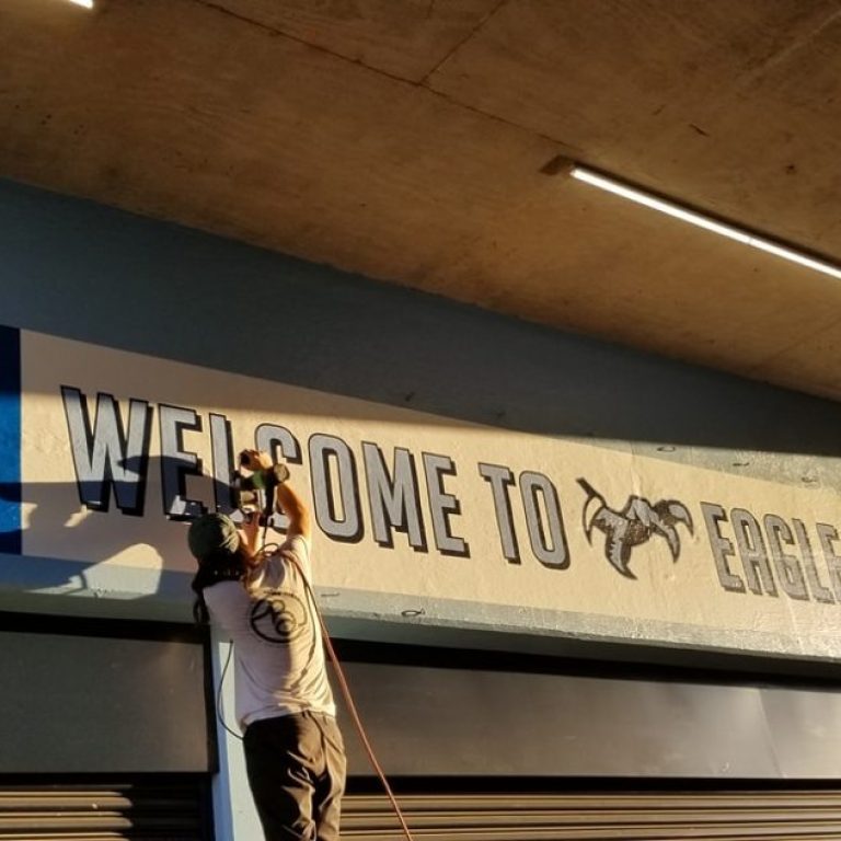 Chapin High School Banners